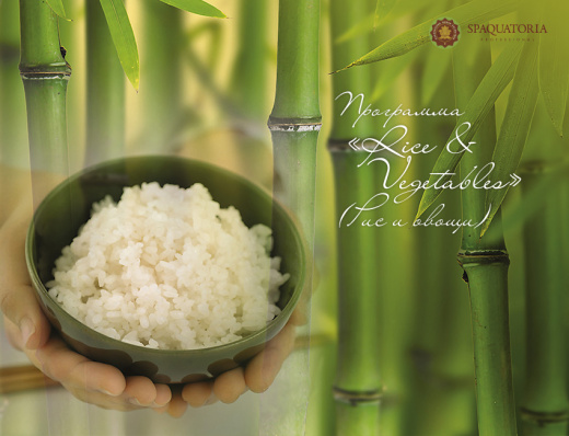 Rice & Vegetables